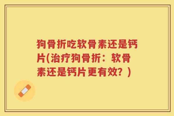 狗吃软骨素还是钙片(狗：软骨素还是钙片更有效？)