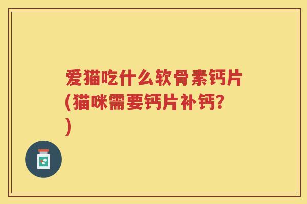 爱猫吃什么软骨素钙片(猫咪需要钙片补钙?) 爱猫吃什么软骨素钙片(猫咪需要钙片补钙?)