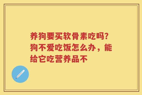 养狗要买软骨素吃吗？狗不爱吃饭怎么办，能给它吃营养品不
