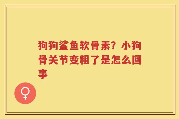狗狗鲨鱼软骨素？小狗骨关节变粗了是怎么回事