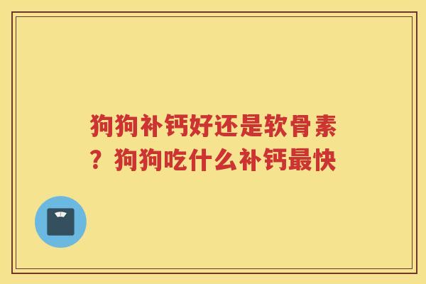 狗狗补钙好还是软骨素?狗狗吃什么补钙快 狗狗补钙好还是软骨素?狗狗吃什么补钙快