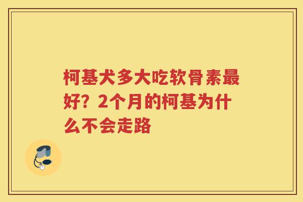 柯基犬多大吃软骨素好?2个月的柯基为什么不会走路 柯基犬多大吃软骨素好?2个月的柯基为什么不会走路