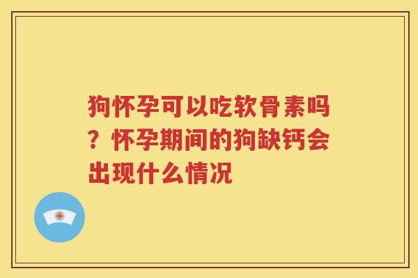 狗怀孕可以吃软骨素吗?怀孕期间的狗缺钙会出现什么情况 狗怀孕可以吃软骨素吗?怀孕期间的狗缺钙会出现什么情况