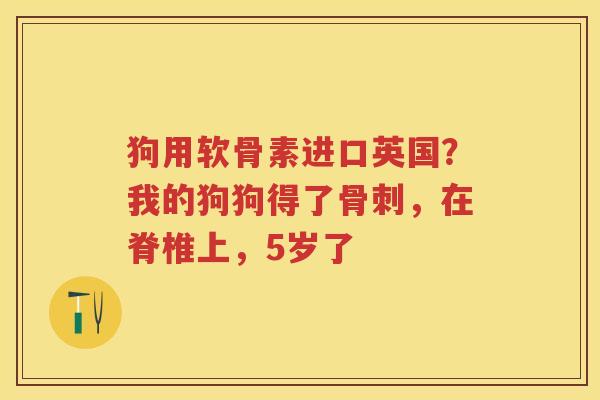 狗用软骨素进口英国?我的狗狗得了,在脊椎上,5岁了 狗用软骨素进口英国?我的狗狗得了,在脊椎上,5岁了