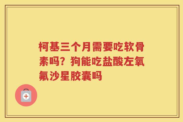 柯基三个月需要吃软骨素吗?狗能吃盐酸左氧氟沙星胶囊吗 柯基三个月需要吃软骨素吗?狗能吃盐酸左氧氟沙星胶囊吗