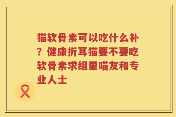 猫软骨素可以吃什么补？健康折耳猫要不要吃软骨素求组里喵友和专业人士