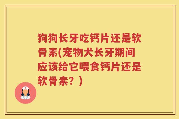 狗狗长牙吃钙片还是软骨素(宠物犬长牙期间应该给它喂食钙片还是软骨素?) 狗狗长牙吃钙片还是软骨素(宠物犬长牙期间应该给它喂食钙片还是软骨素?)