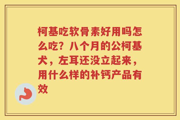 柯基吃软骨素好用吗怎么吃?八个月的公柯基犬,左耳还没立起来,用什么样的补钙产品有效 柯基吃软骨素好用吗怎么吃?八个月的公柯基犬,左耳还没立起来,用什么样的补钙产品有效