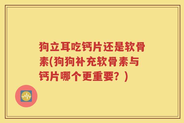 狗立耳吃钙片还是软骨素(狗狗补充软骨素与钙片哪个更重要？)