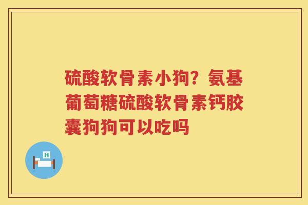 硫酸软骨素小狗?氨基葡萄糖硫酸软骨素钙胶囊狗狗可以吃吗 硫酸软骨素小狗?氨基葡萄糖硫酸软骨素钙胶囊狗狗可以吃吗