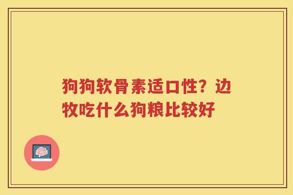 狗狗软骨素适口性？边牧吃什么狗粮比较好