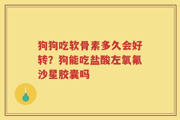 狗狗吃软骨素多久会好转？狗能吃盐酸左氧氟沙星胶囊吗