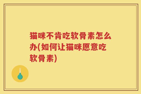 猫咪不肯吃软骨素怎么办(如何让猫咪愿意吃软骨素)