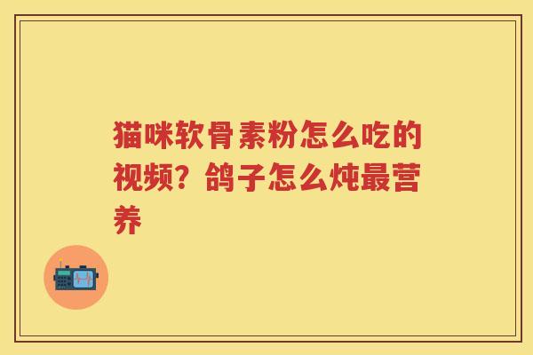 猫咪软骨素粉怎么吃的视频?鸽子怎么炖营养 猫咪软骨素粉怎么吃的视频?鸽子怎么炖营养