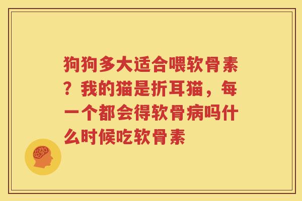 狗狗多大适合喂软骨素？我的猫是折耳猫，每一个都会得软骨吗什么时候吃软骨素