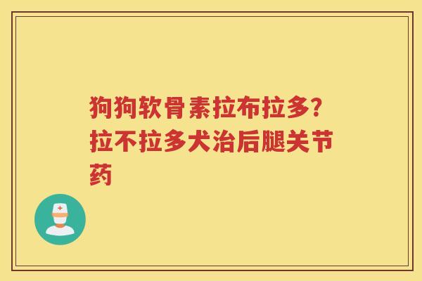 狗狗软骨素拉布拉多？拉不拉多犬后腿关节药