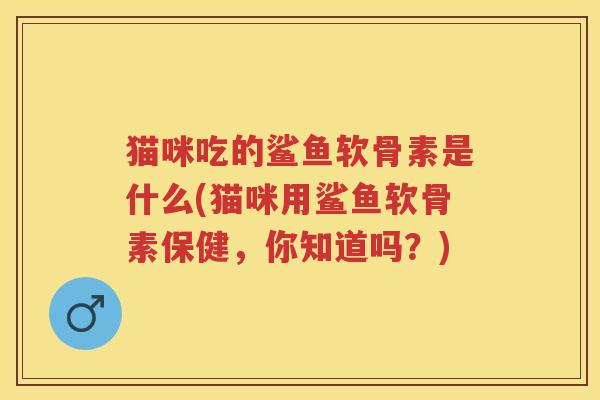 猫咪吃的鲨鱼软骨素是什么(猫咪用鲨鱼软骨素保健,你知道吗?) 猫咪吃的鲨鱼软骨素是什么(猫咪用鲨鱼软骨素保健,你知道吗?)