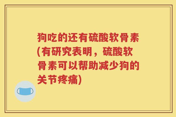 狗吃的还有硫酸软骨素(有研究表明，硫酸软骨素可以帮助减少狗的关节)