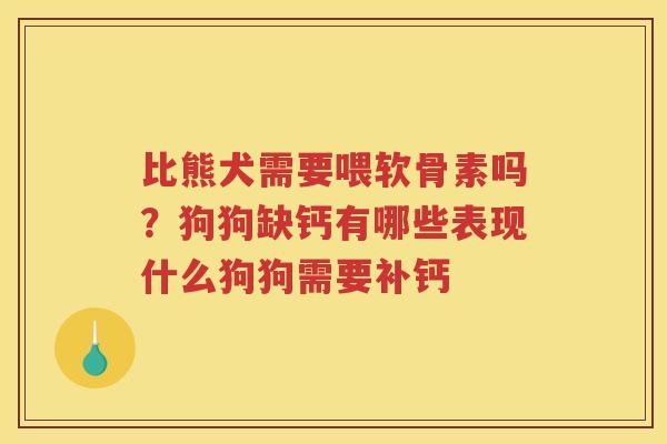比熊犬需要喂软骨素吗?狗狗缺钙有哪些表现什么狗狗需要补钙 比熊犬需要喂软骨素吗?狗狗缺钙有哪些表现什么狗狗需要补钙