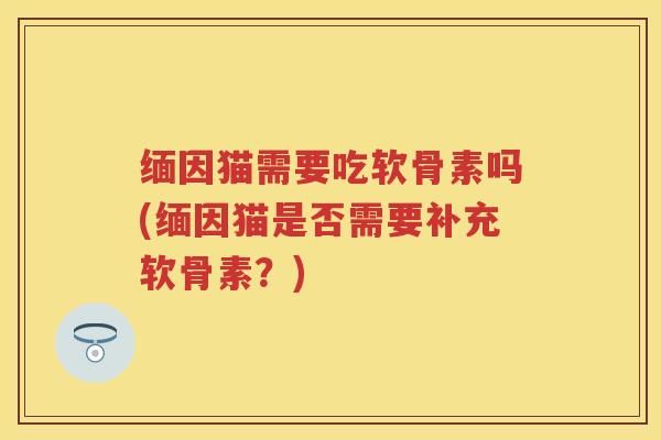 缅因猫需要吃软骨素吗(缅因猫是否需要补充软骨素?) 缅因猫需要吃软骨素吗(缅因猫是否需要补充软骨素?)