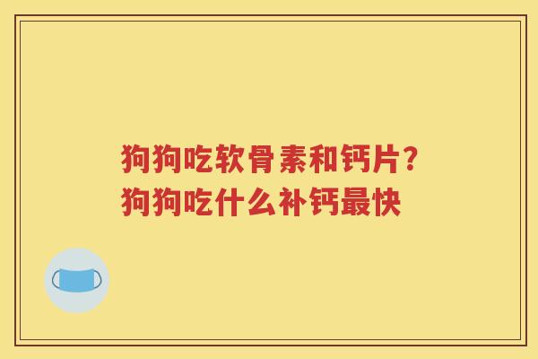 狗狗吃软骨素和钙片?狗狗吃什么补钙快 狗狗吃软骨素和钙片?狗狗吃什么补钙快