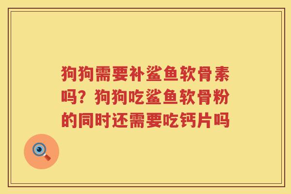 狗狗需要补鲨鱼软骨素吗？狗狗吃鲨鱼软骨粉的同时还需要吃钙片吗