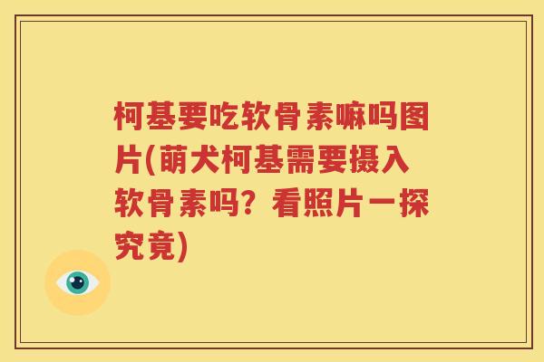 柯基要吃软骨素嘛吗图片(萌犬柯基需要摄入软骨素吗?看照片一探究竟) 柯基要吃软骨素嘛吗图片(萌犬柯基需要摄入软骨素吗?看照片一探究竟)