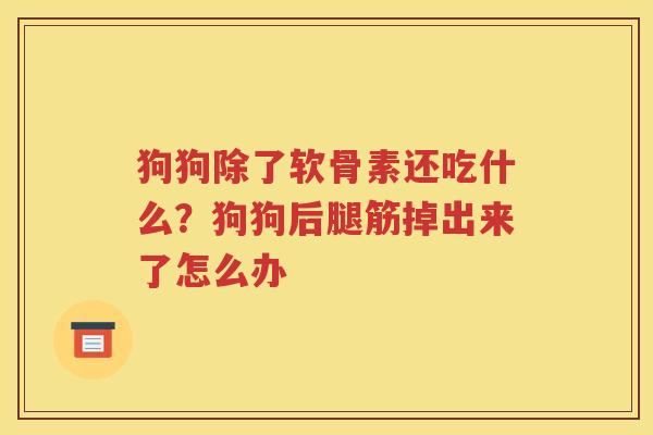 狗狗除了软骨素还吃什么?狗狗后腿筋掉出来了怎么办 狗狗除了软骨素还吃什么?狗狗后腿筋掉出来了怎么办
