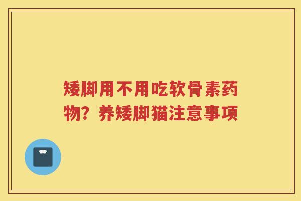 矮脚用不用吃软骨素?养矮脚猫注意事项 矮脚用不用吃软骨素?养矮脚猫注意事项