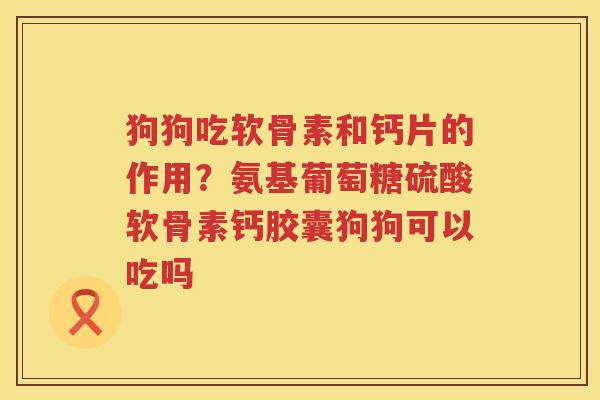 狗狗吃软骨素和钙片的作用？氨基葡萄糖硫酸软骨素钙胶囊狗狗可以吃吗