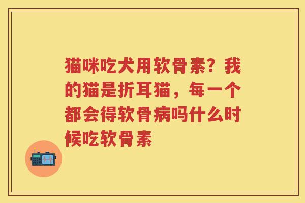 猫咪吃犬用软骨素?我的猫是折耳猫,每一个都会得软骨吗什么时候吃软骨素 猫咪吃犬用软骨素?我的猫是折耳猫,每一个都会得软骨吗什么时候吃软骨素