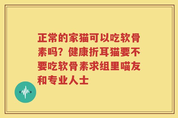 正常的家猫可以吃软骨素吗？健康折耳猫要不要吃软骨素求组里喵友和专业人士