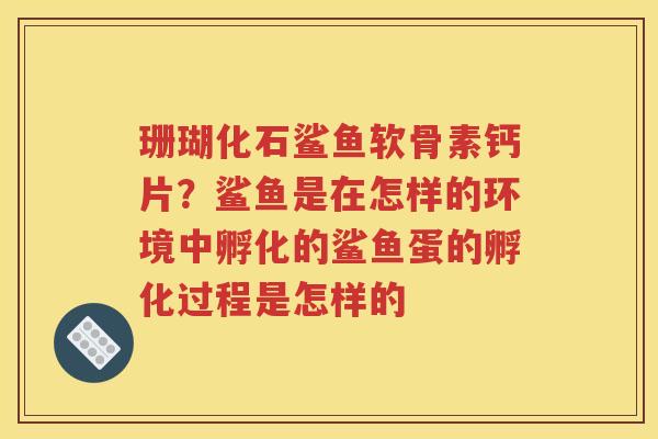 珊瑚化石鲨鱼软骨素钙片?鲨鱼是在怎样的环境中孵化的鲨鱼蛋的孵化过程是怎样的 珊瑚化石鲨鱼软骨素钙片?鲨鱼是在怎样的环境中孵化的鲨鱼蛋的孵化过程是怎样的
