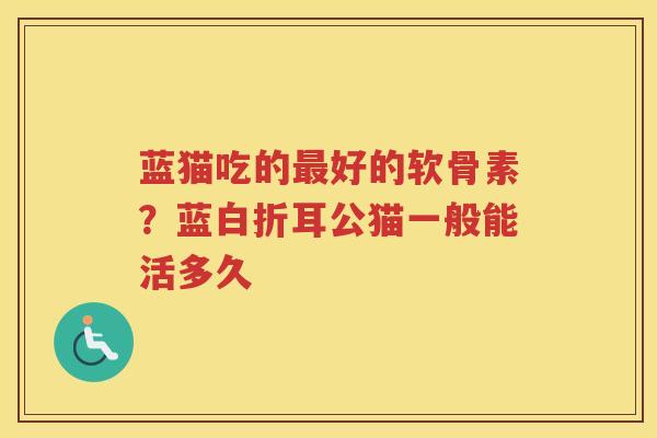 蓝猫吃的好的软骨素?蓝白折耳公猫一般能活多久 蓝猫吃的好的软骨素?蓝白折耳公猫一般能活多久