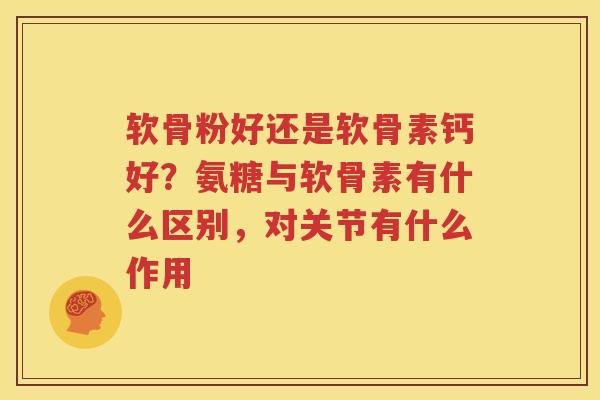 软骨粉好还是软骨素钙好？氨糖与软骨素有什么区别，对关节有什么作用
