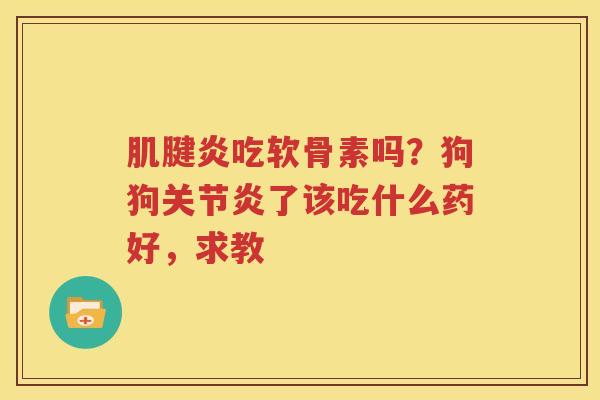 吃软骨素吗？狗狗了该吃什么药好，求教