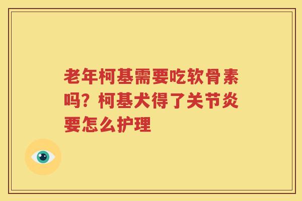 老年柯基需要吃软骨素吗？柯基犬得了要怎么护理