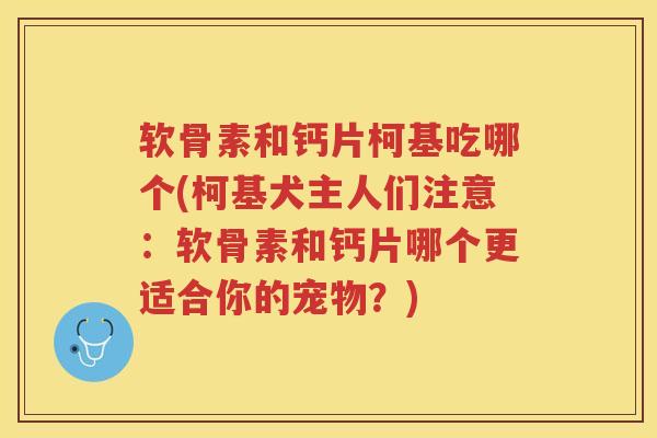 软骨素和钙片柯基吃哪个(柯基犬主人们注意：软骨素和钙片哪个更适合你的宠物？)