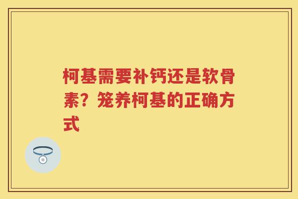 柯基需要补钙还是软骨素？笼养柯基的正确方式