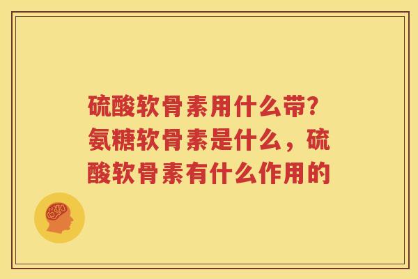 硫酸软骨素用什么带?氨糖软骨素是什么,硫酸软骨素有什么作用的 硫酸软骨素用什么带?氨糖软骨素是什么,硫酸软骨素有什么作用的