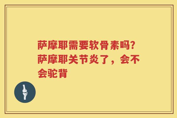 萨摩耶需要软骨素吗?萨摩耶了,会不会驼背 萨摩耶需要软骨素吗?萨摩耶了,会不会驼背