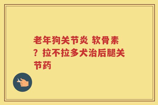 老年狗 软骨素？拉不拉多犬后腿关节药