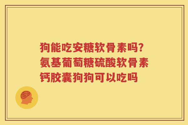 狗能吃安糖软骨素吗?氨基葡萄糖硫酸软骨素钙胶囊狗狗可以吃吗 狗能吃安糖软骨素吗?氨基葡萄糖硫酸软骨素钙胶囊狗狗可以吃吗
