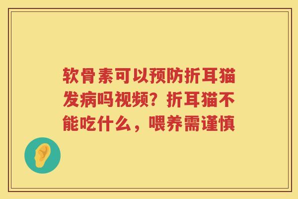 软骨素可以折耳猫发吗视频？折耳猫不能吃什么，喂养需谨慎