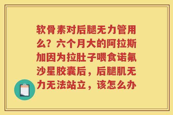 软骨素对后腿无力管用么?六个月大的阿拉斯加因为拉肚子喂食诺氟沙星胶囊后,后腿肌无力无法站立,该怎么办 软骨素对后腿无力管用么?六个月大的阿拉斯加因为拉肚子喂食诺氟沙星胶囊后,后腿肌无力无法站立,该怎么办