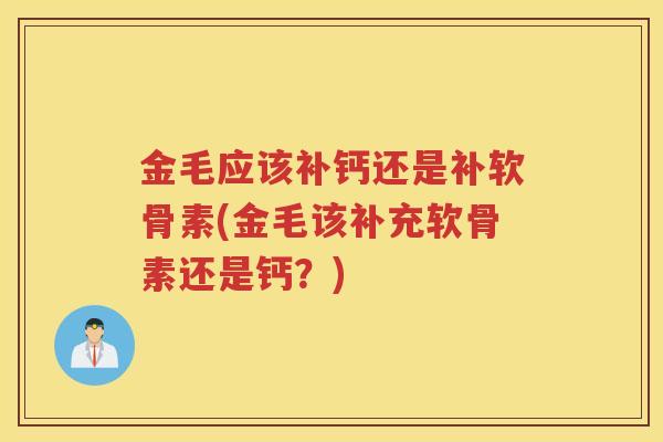 金毛应该补钙还是补软骨素(金毛该补充软骨素还是钙？)
