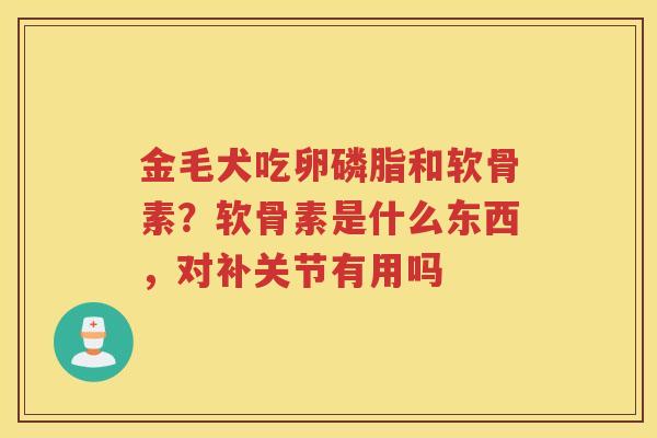 金毛犬吃卵磷脂和软骨素?软骨素是什么东西,对补关节有用吗 金毛犬吃卵磷脂和软骨素?软骨素是什么东西,对补关节有用吗