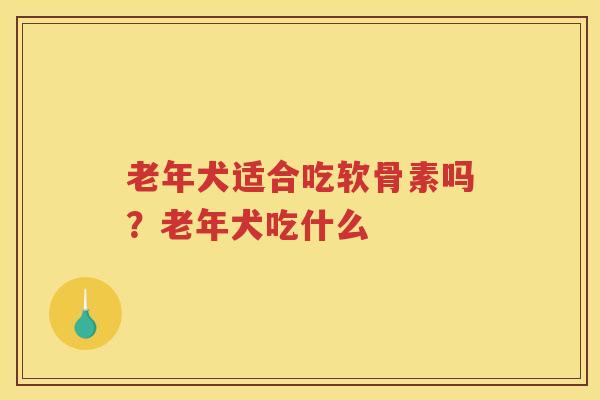 老年犬适合吃软骨素吗？老年犬吃什么