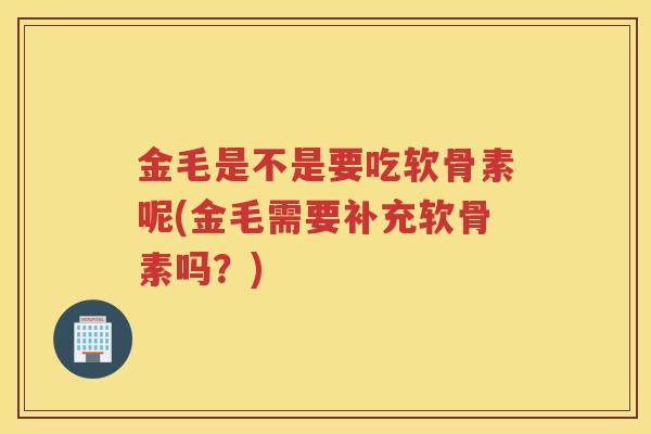 金毛是不是要吃软骨素呢(金毛需要补充软骨素吗？)