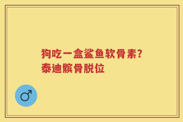 狗吃一盒鲨鱼软骨素？泰迪髌骨脱位